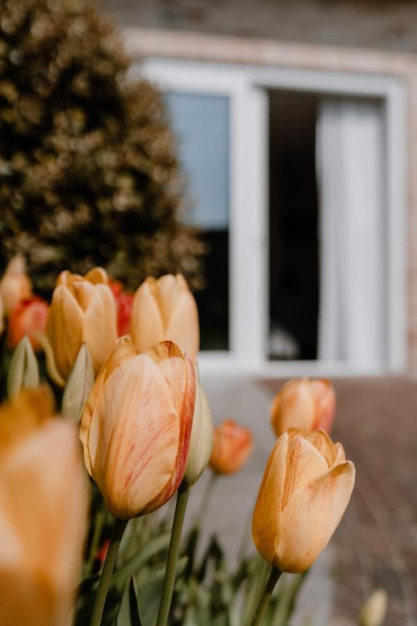 Duinvilla Aan De Zee B&B Zoutelande Exterior foto